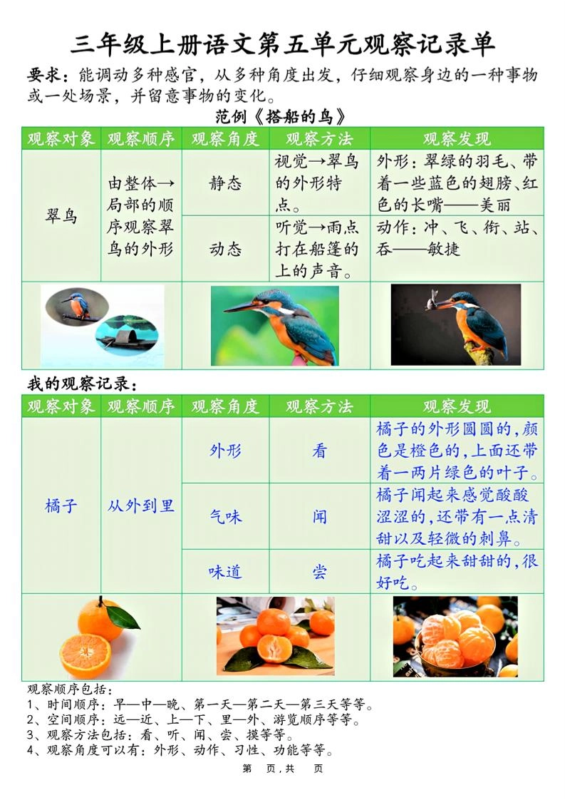 三上语文第五单元观察记录单（空白+答案14页）-倾慕网