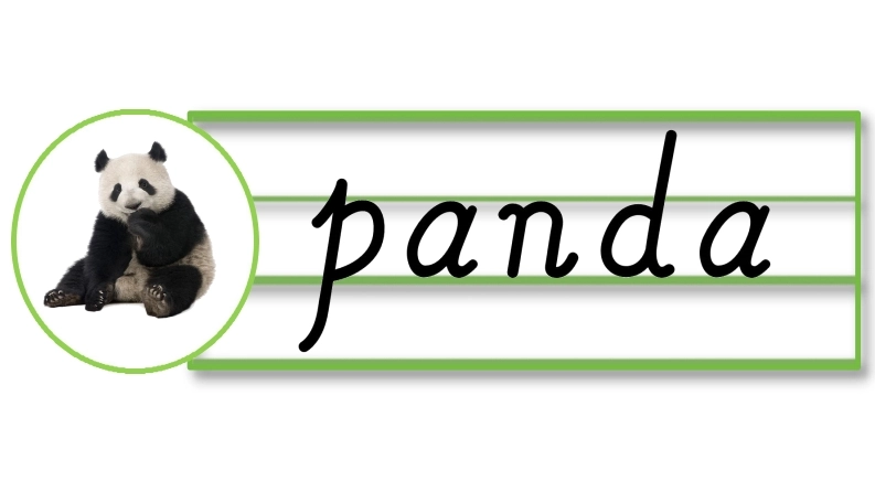 外研社新改版三起三下英语U1-6单词词卡