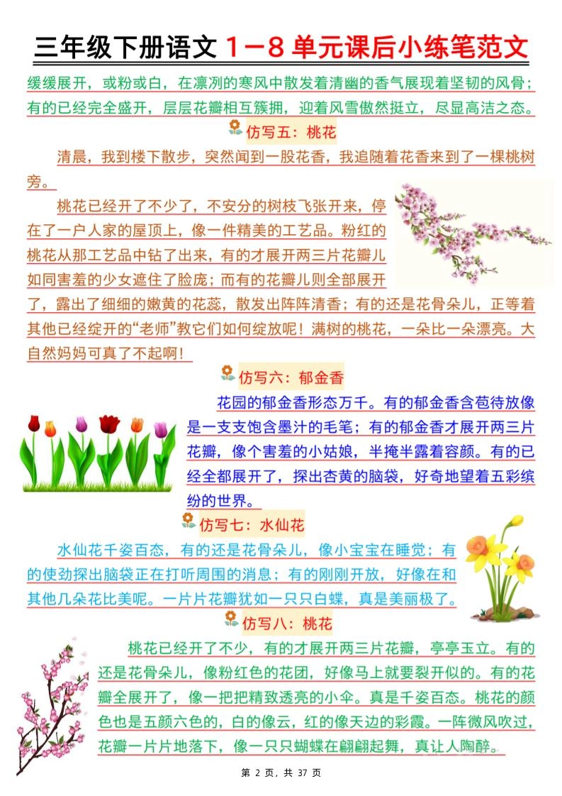 三下语文1-8单元课后小练笔范文（37页）